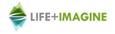 life-imagine logo